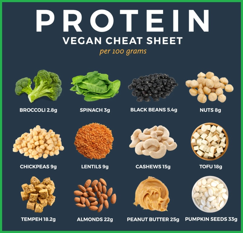 채식 단백질 섭취를 위한 식단