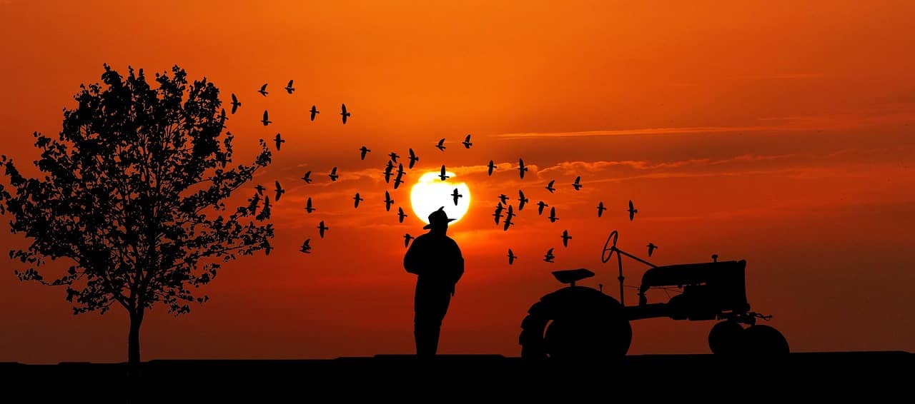 소규모 농장을 위한 저비용 자동화 솔루션 7가지