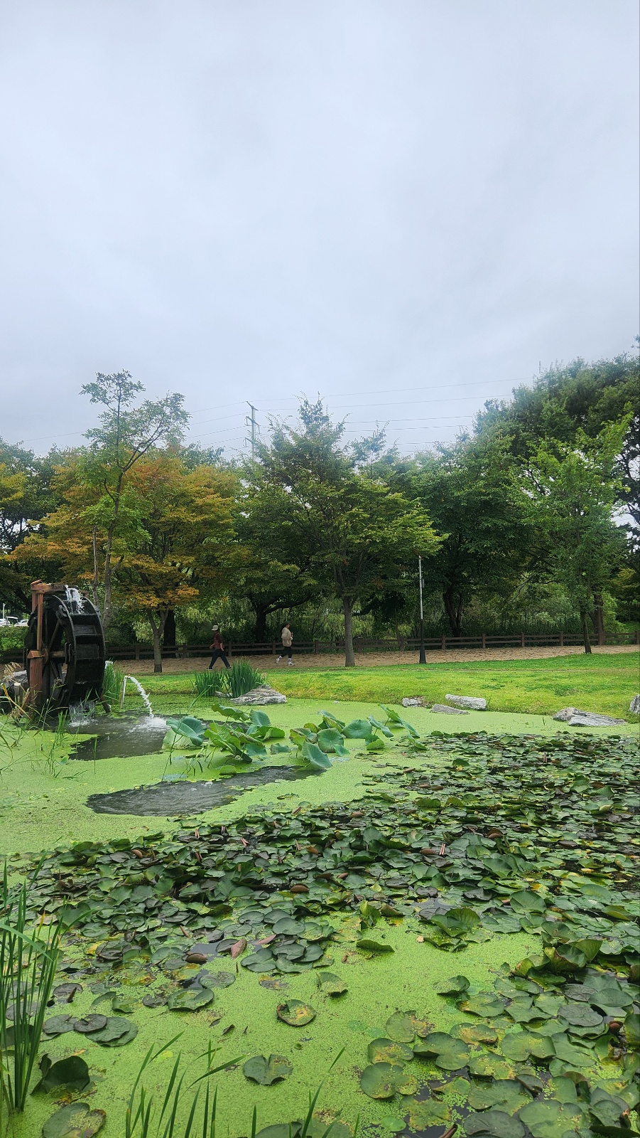 연꽃습지원