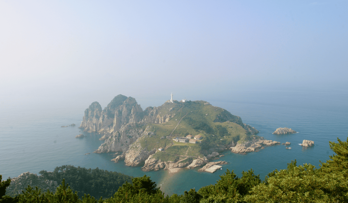 복