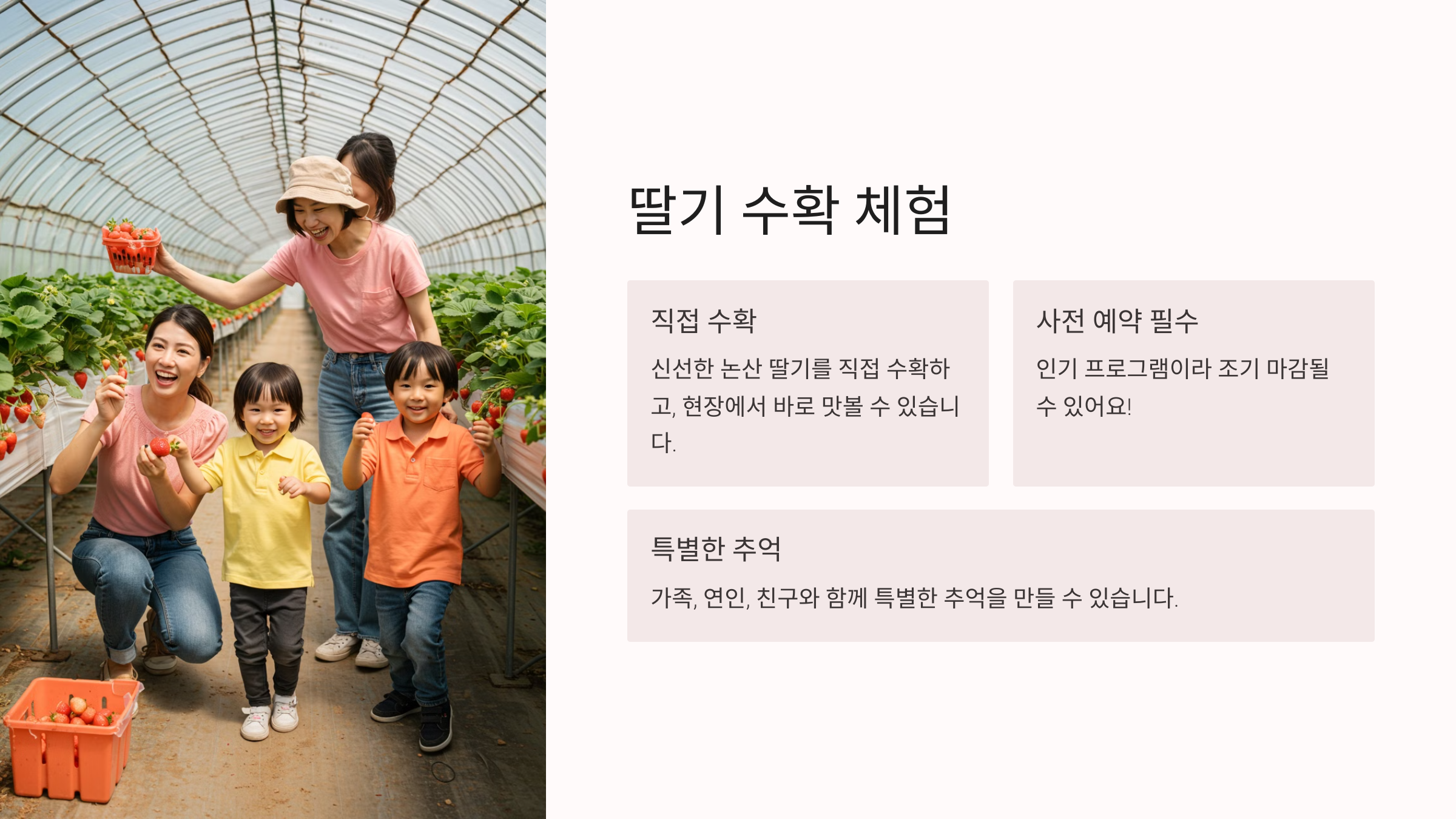 2025 논산딸기축제 일정 프로그램