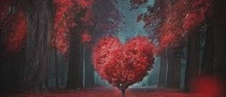 남자가 진심인지 아는 방법