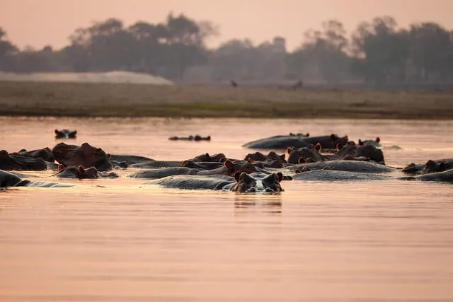 멀티태스킹이 인간 뇌에 미치는 결정적 손상