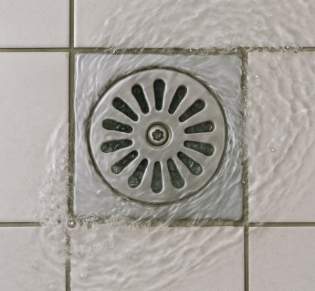 머리카락 바로 수거