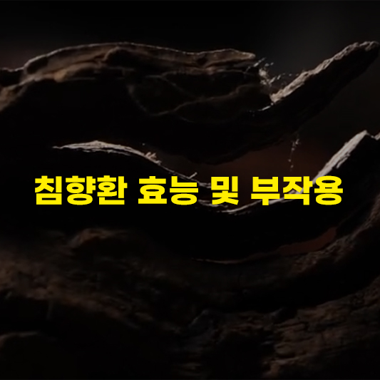 침향환