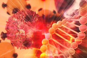 hpv 바이러스