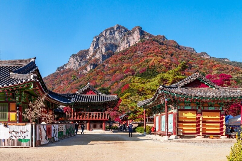 단풍이-물든-산풍경