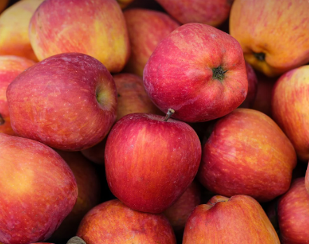 청송 사과 택배 주문 방법