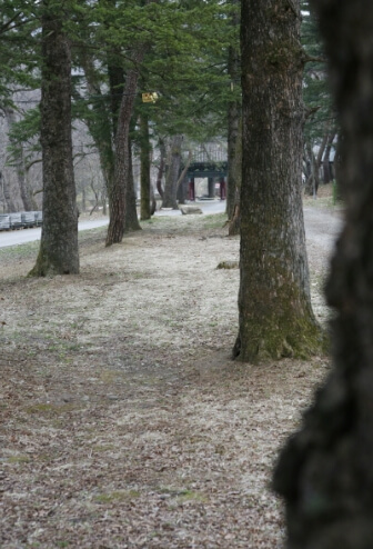 금산 가볼만한곳 베스트 10