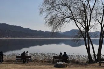 양평 가볼만한곳 베스트10 두물머리 연잎핫도그_19