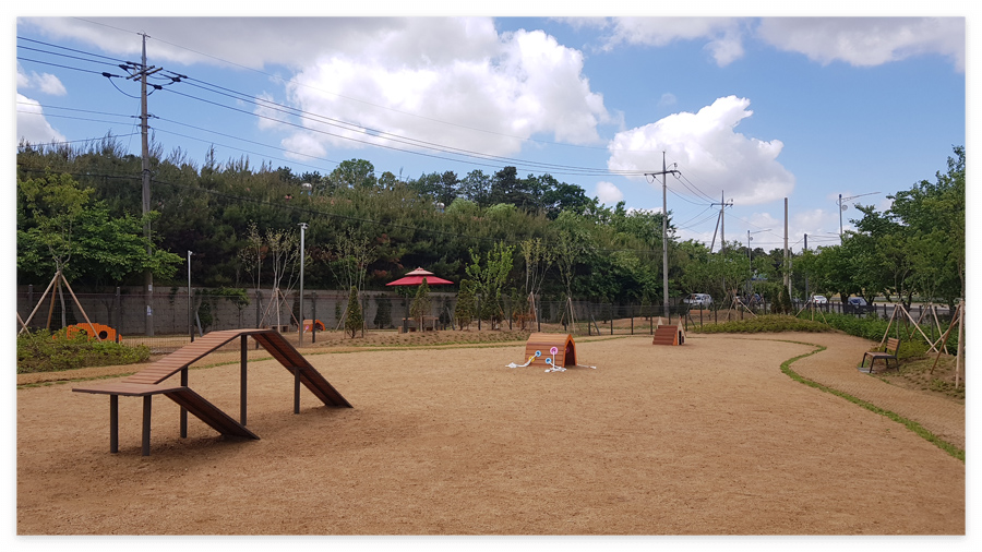 태산패밀리파크 반려견 놀이터