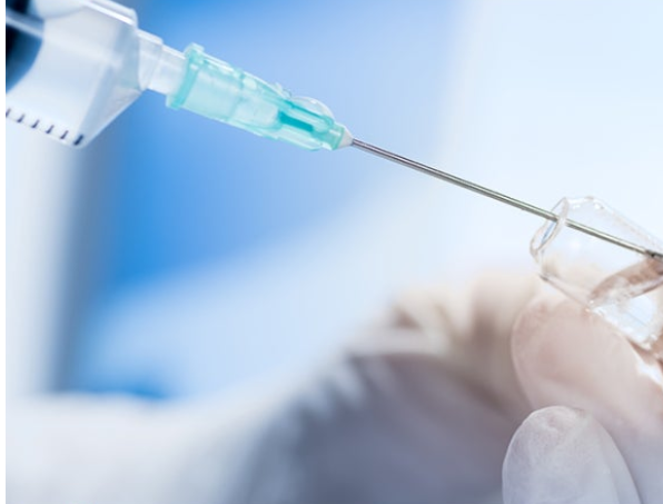 독감배신종류-사진7