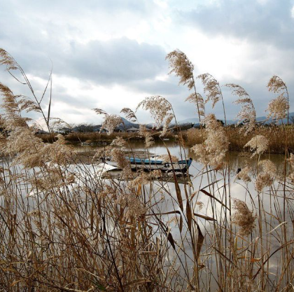 1월 전라남도 가볼만한곳 추천 ❘ 새해 신년 국내 겨울 여행지 ❘ 전라도 명소 ❘ 가족 실내 데이트