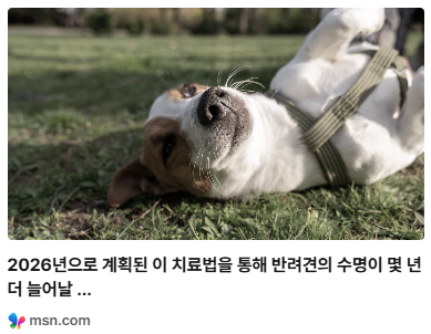 이 치료법을 통해 잔려견 수명이 늘수 있다