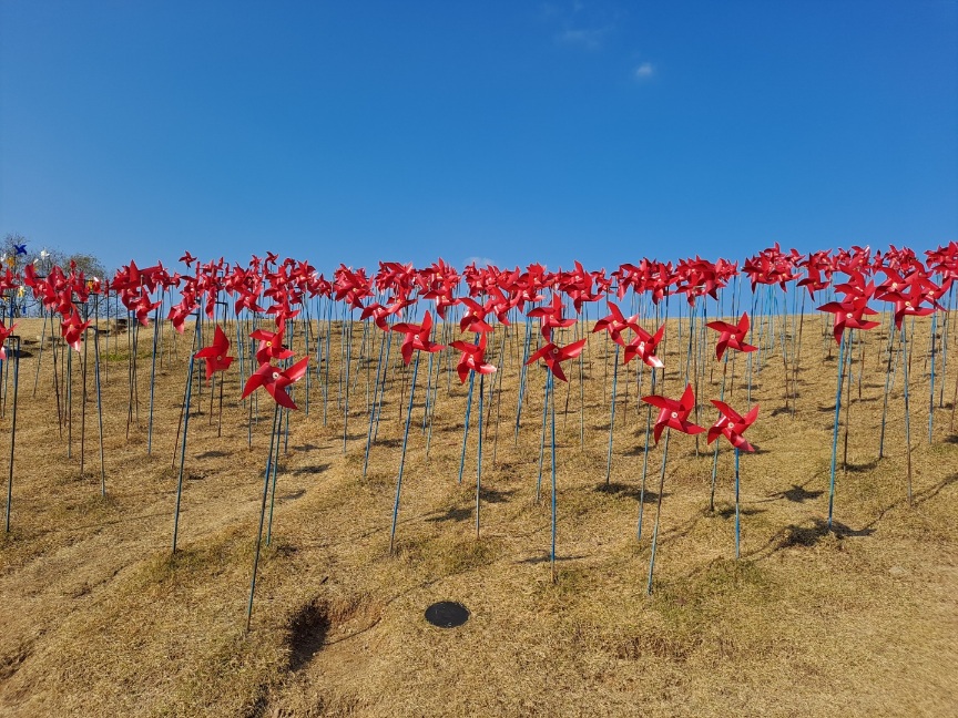 임진각-평화누리공원-바람개비
