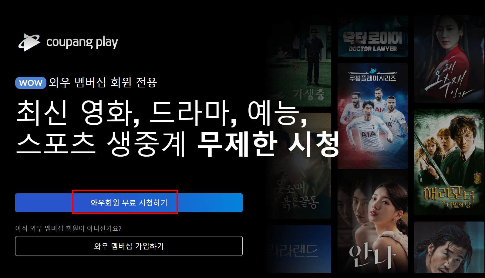 쿠팡플레이 PC버전