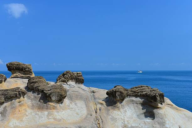 대만 여행지원금 제공