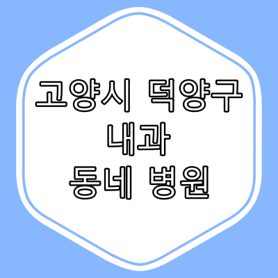 고양시 덕양구 내과 전문의 진료 동네 병원