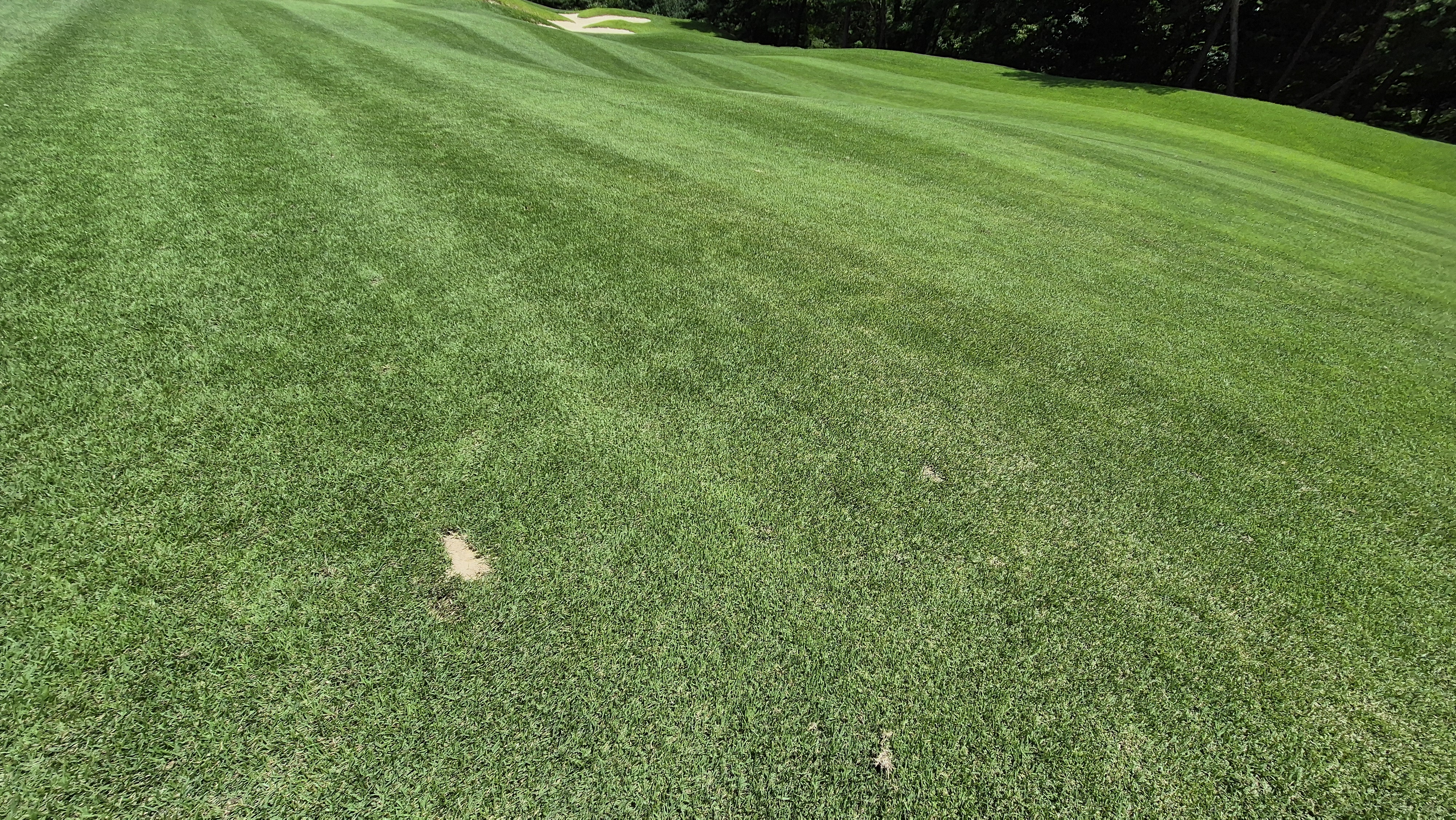 SG 아름다운cc 라운드 후기