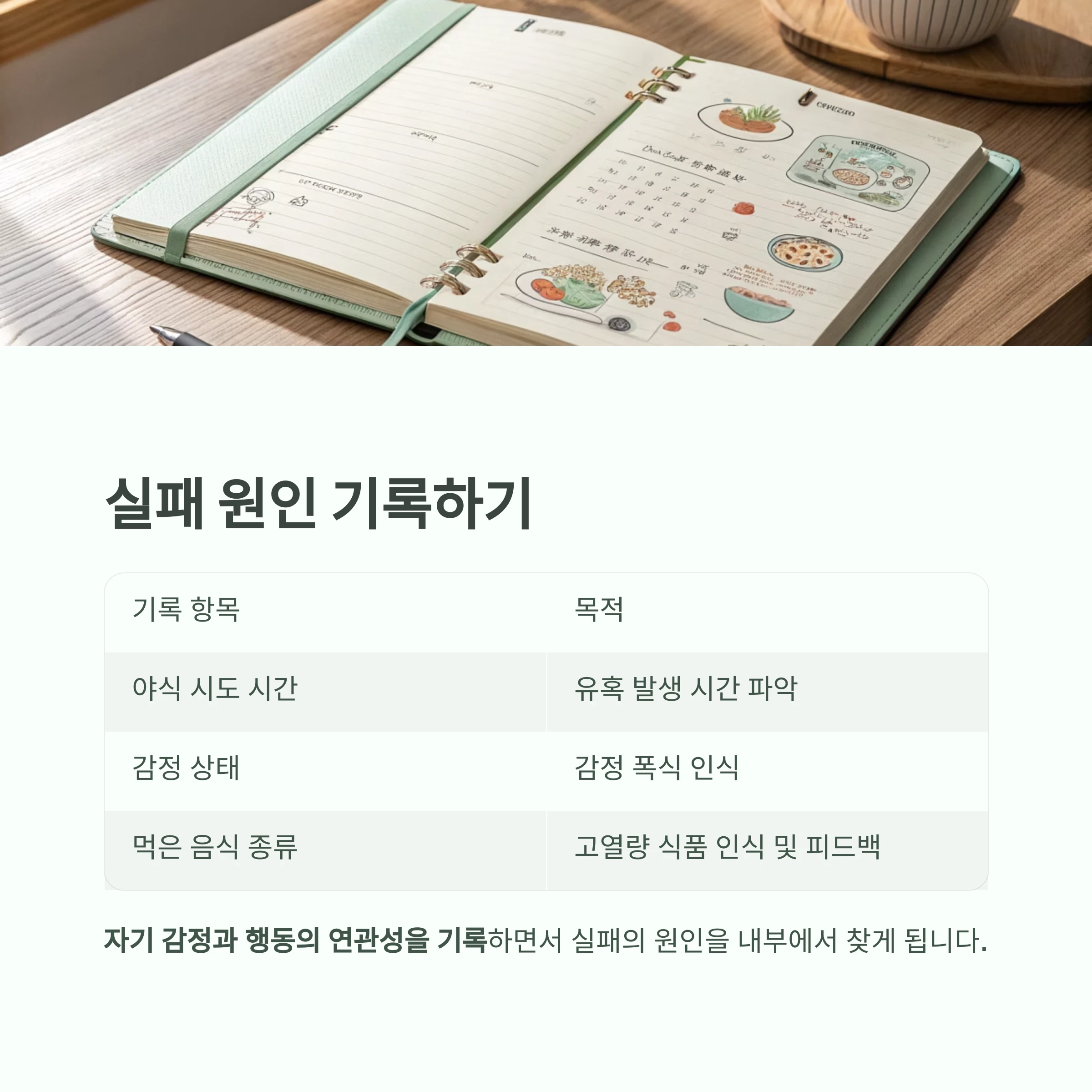 요요없는다이어트