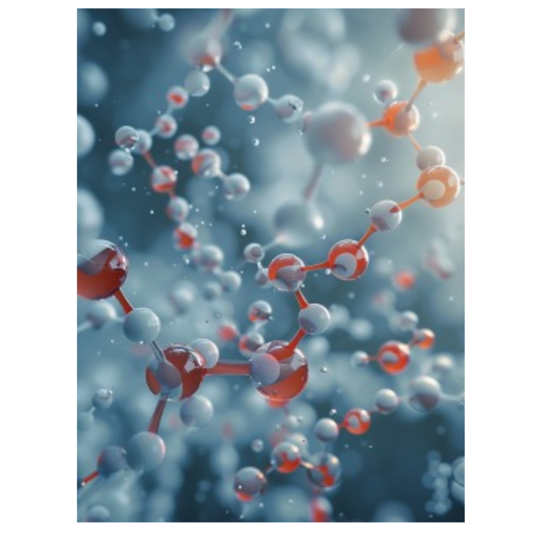 루테인 지아잔틴과 관련된 사진입니다.