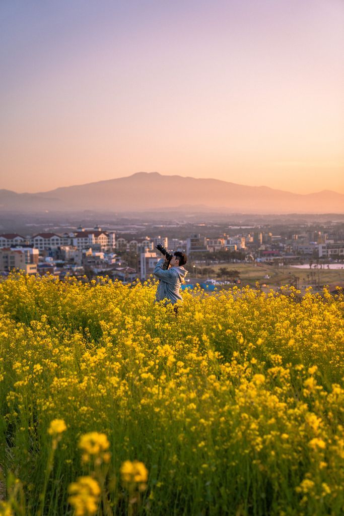 3월에 가볼 만한 국내 여행지 BEST 7 (봄꽃 명소 포함)