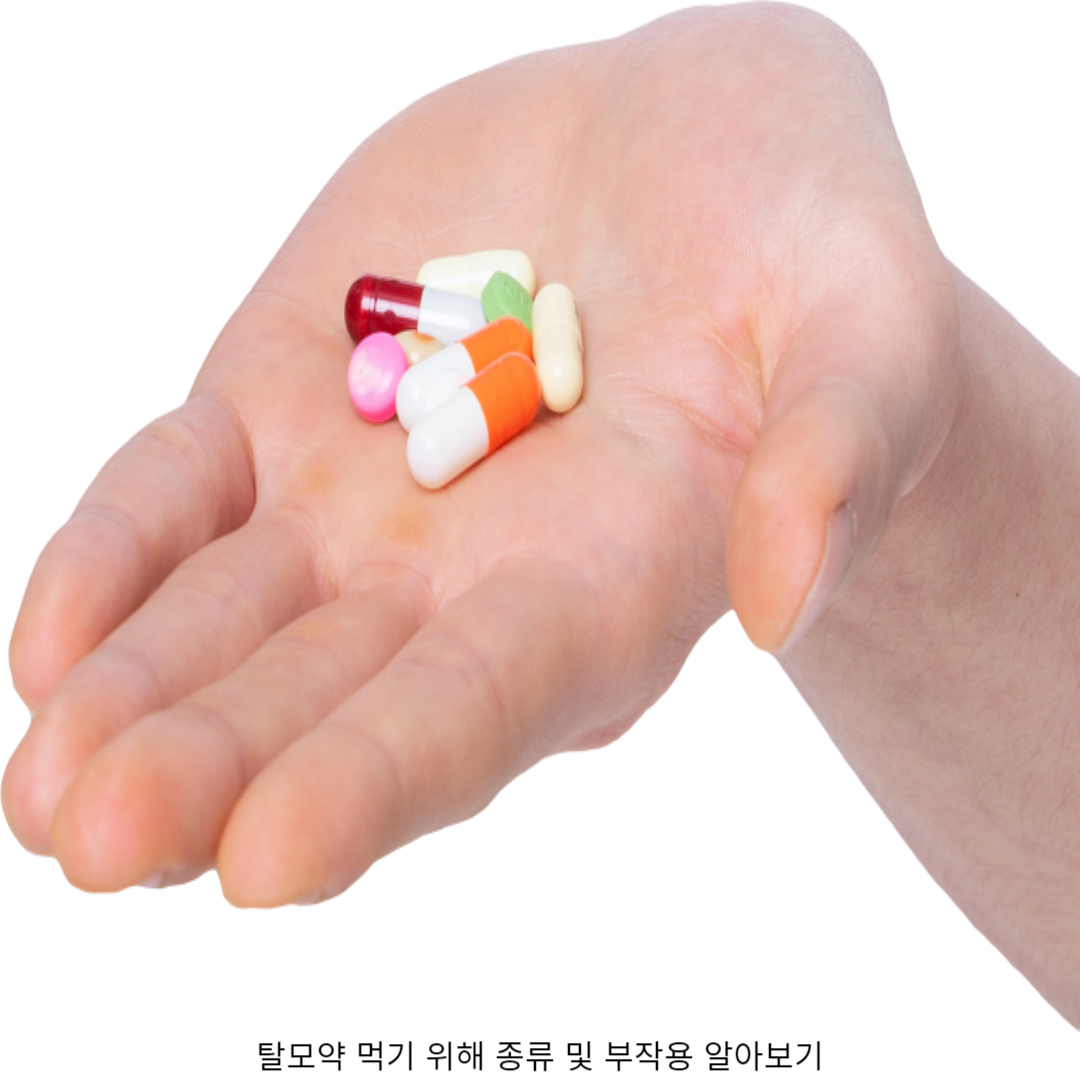 1. 탈모약 이란?