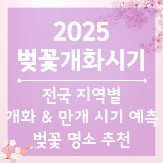 2025 벚꽃 개화시기 & 벚꽃 명소 추천