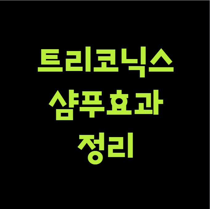 트리코닉스 샴푸 효과 정리