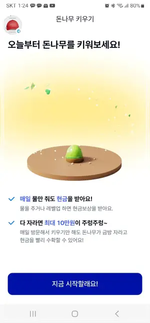 케이뱅크-돈나무-키우기-시작