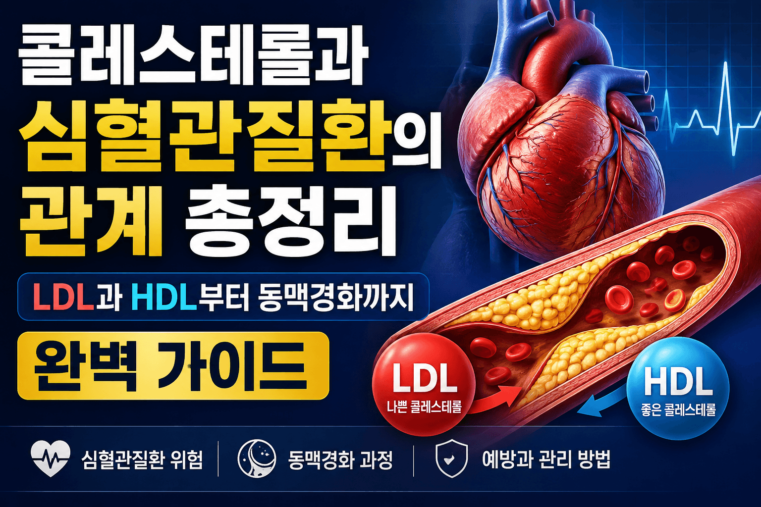 콜레스테롤과 심혈관질환의 관계: LDL과 HDL부터 동맥경화까지 완벽 가이드