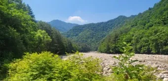 인제 가볼만한곳 베스트10 여행 코스 맛집_20