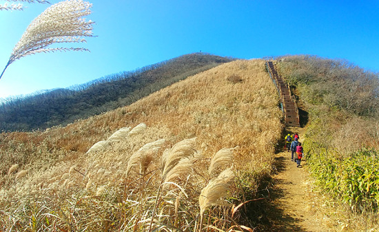 장안산 등산코스 지도