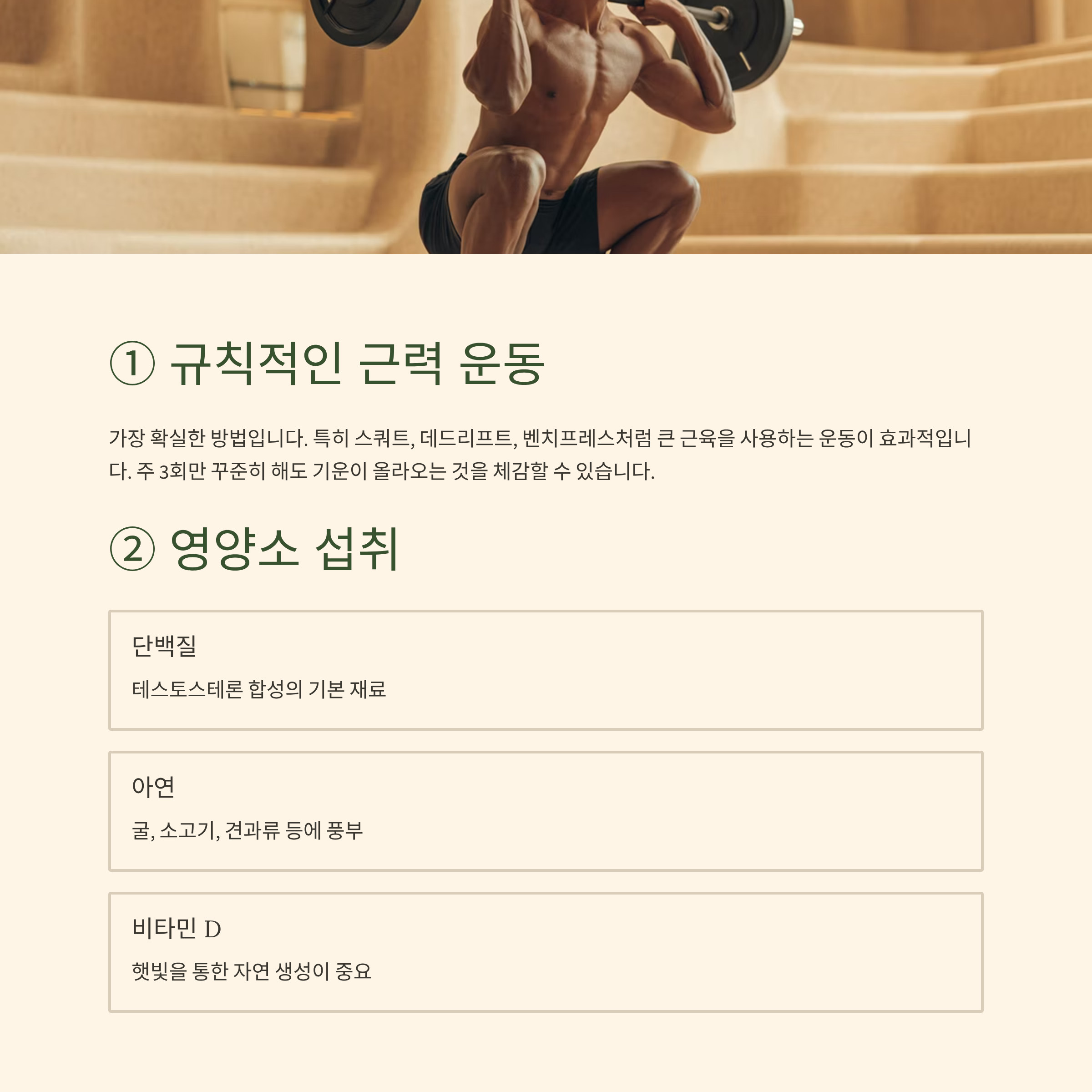 테스토스테론 자연 증가 방법 1