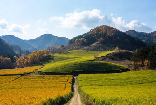 농업 직불제 교육