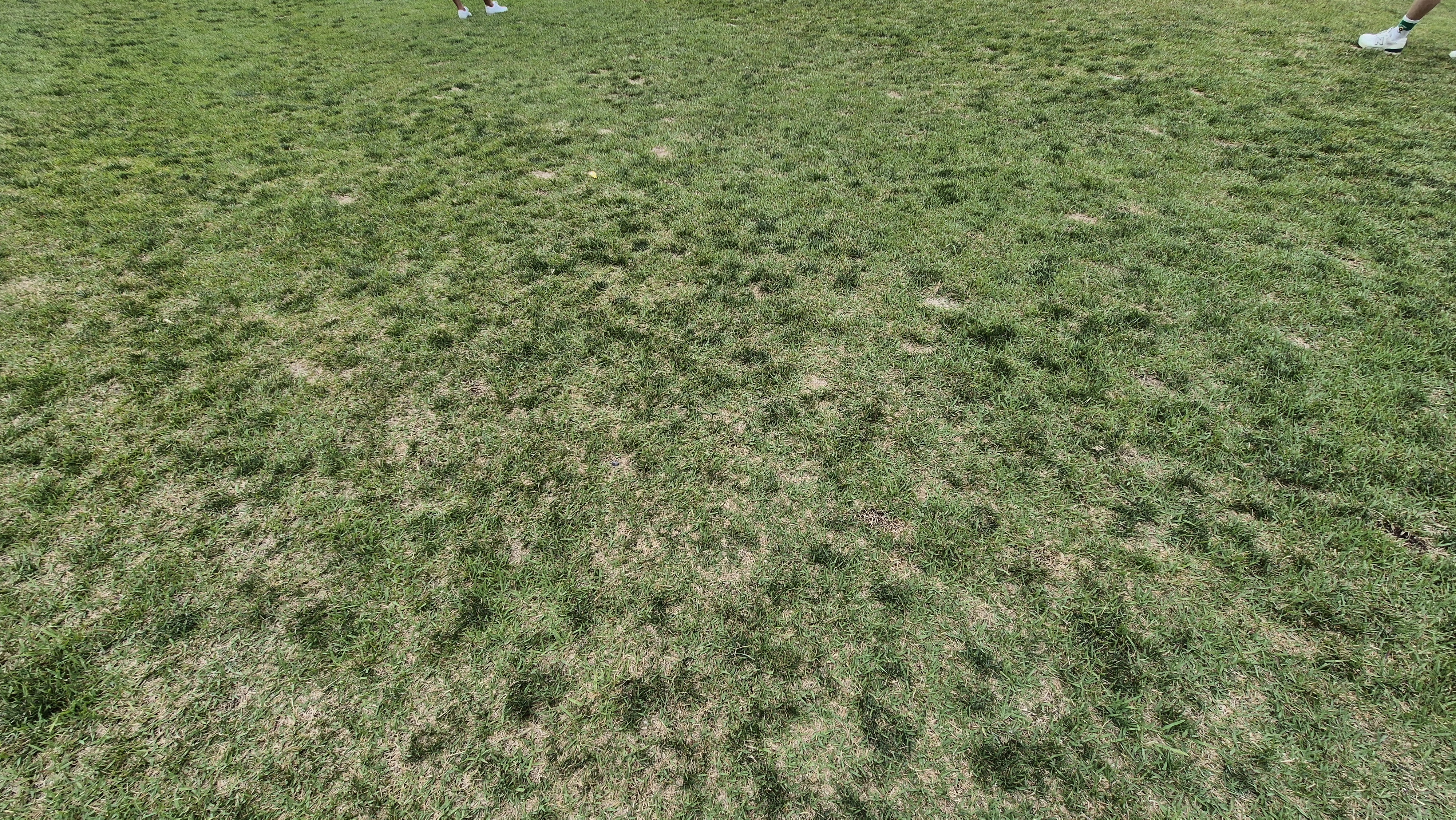 샴발라cc 라운드 후기