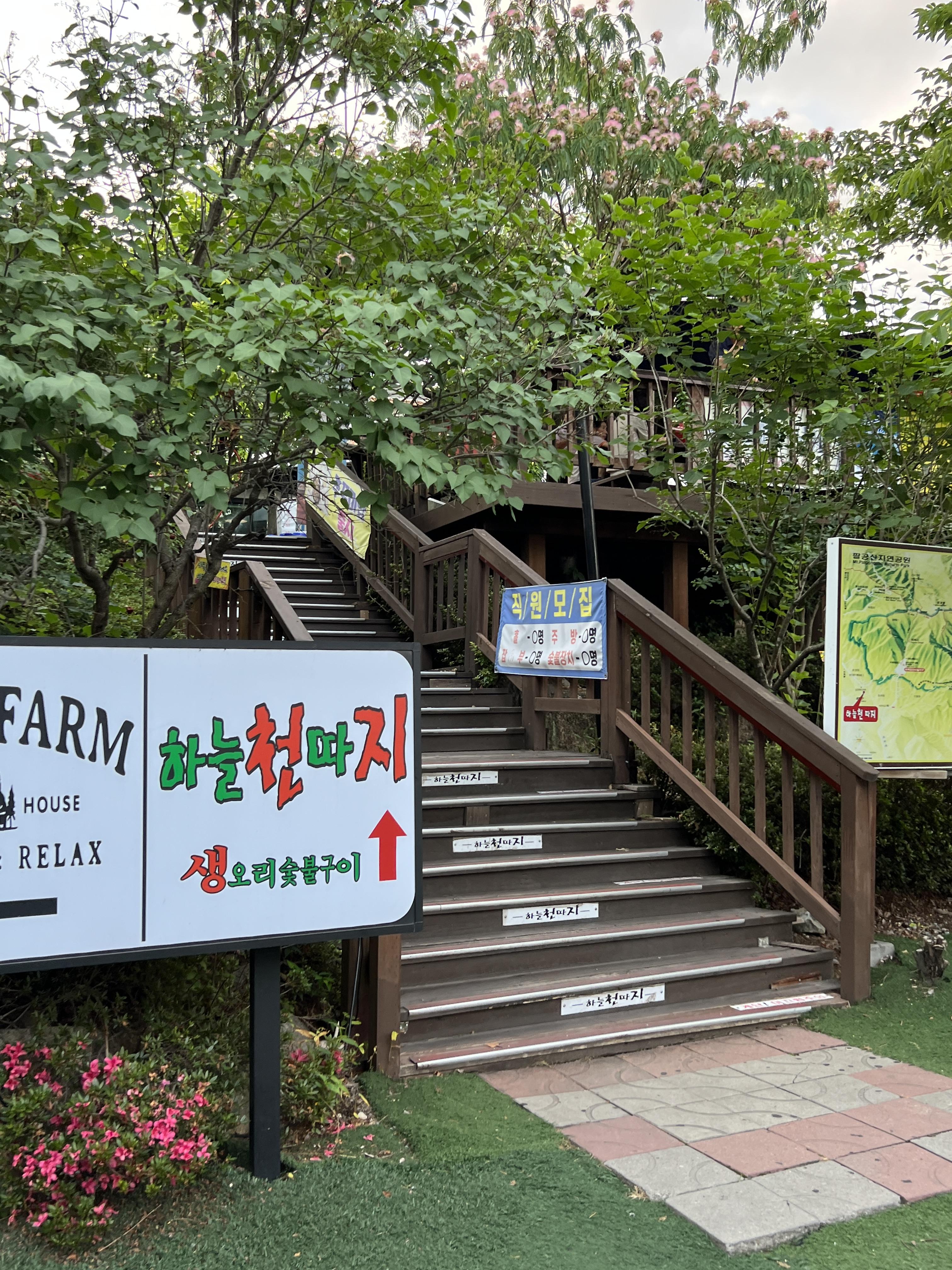 하늘천따지 올라가는 길