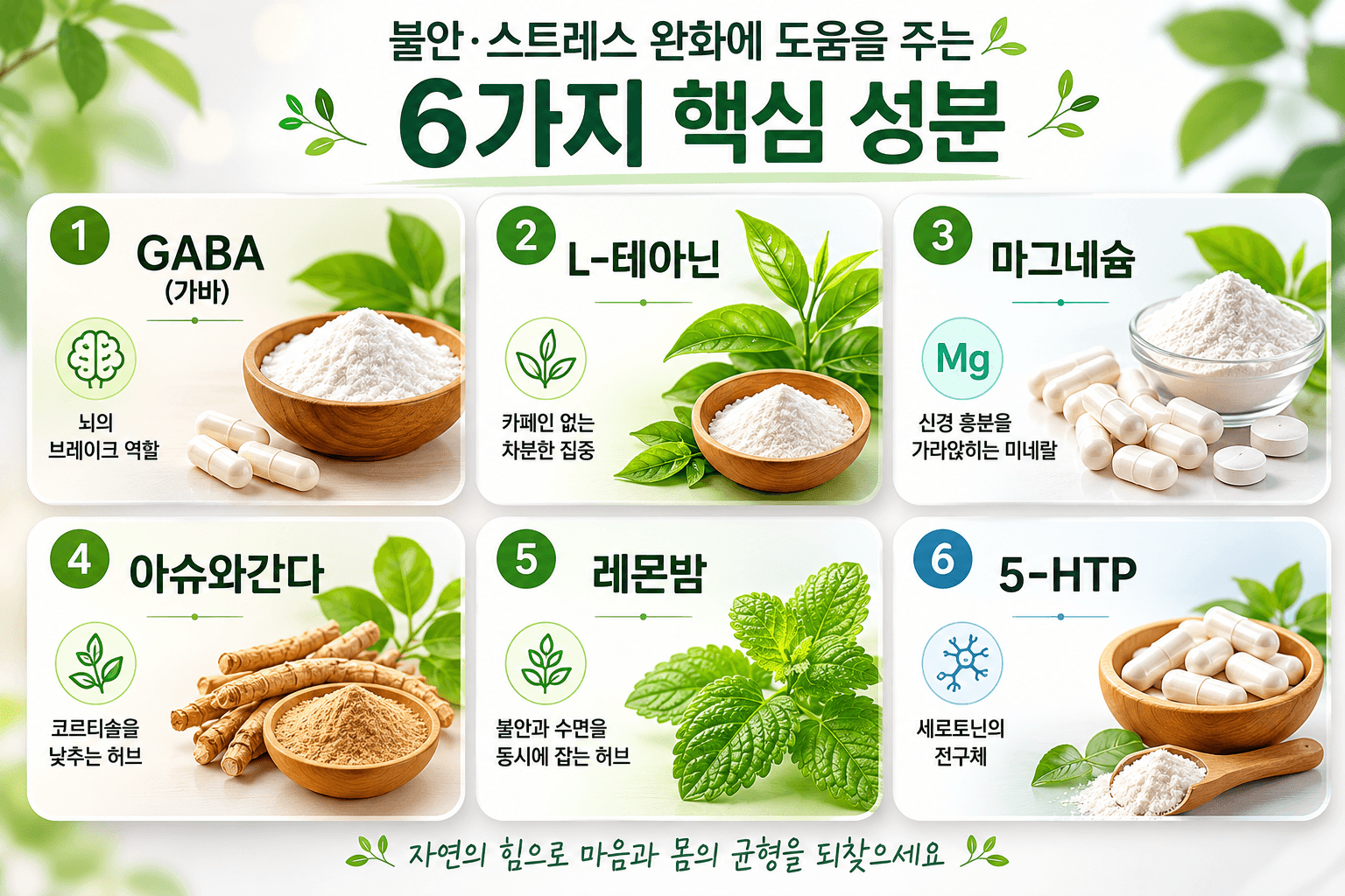 천연 신경안정제 성분 6가지가 정리된 비교 인포그래픽