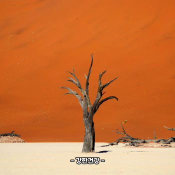 12월 해외여행지 추천 