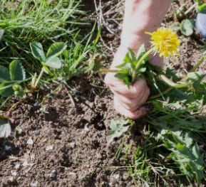 자궁근종 증상과 자궁근종 명의 서울