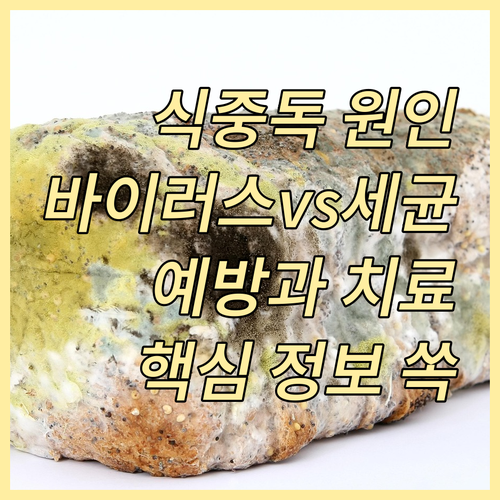 식중독, 바이러스 vs 세균: 원인,..