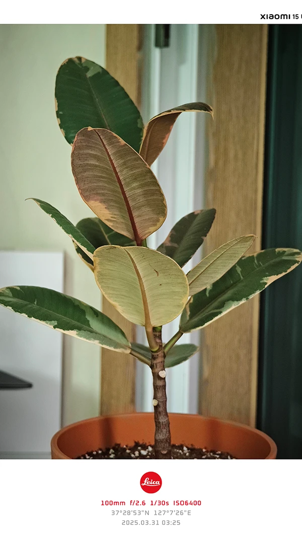 라이카-워터마크-설정