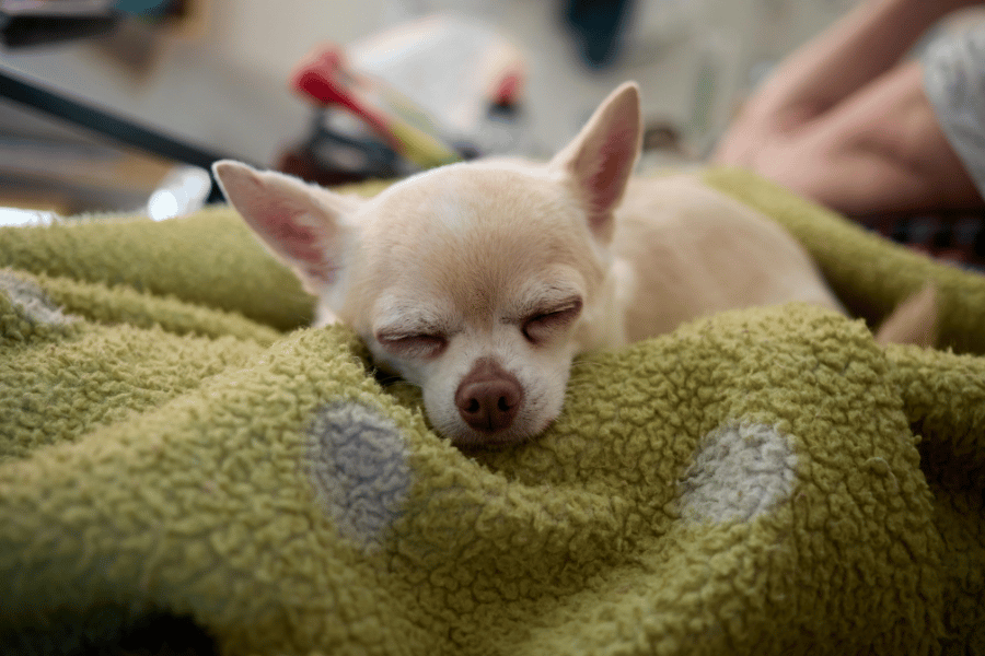수면질 높이는 생활 습관