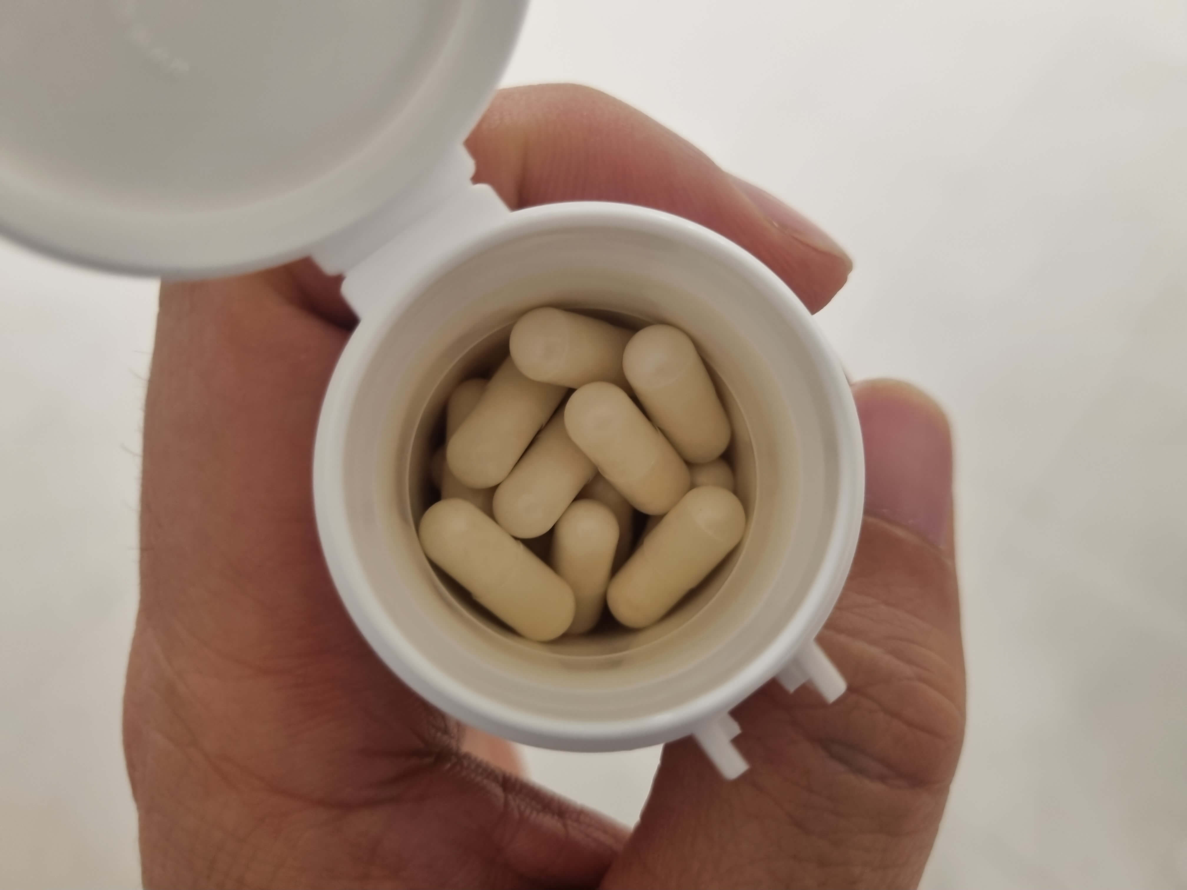 덴마크 유산균 크기