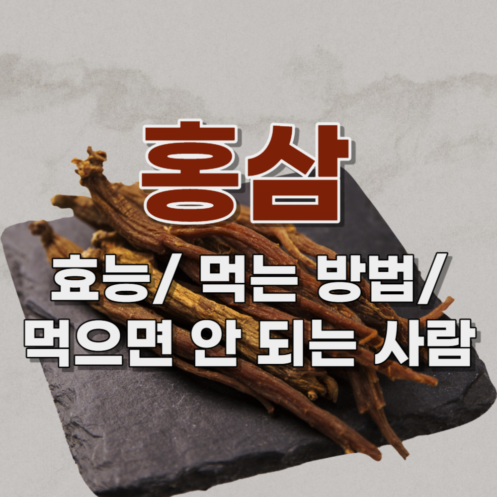 홍삼 효능과 부작용, 복용법, 먹으면 안 되는 사람, 선물 세트 추천