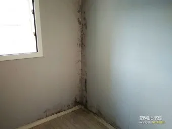 곰팡이 냄새 빨래통 환기와 햇빛 건조 베이킹소다 뿌리기_11