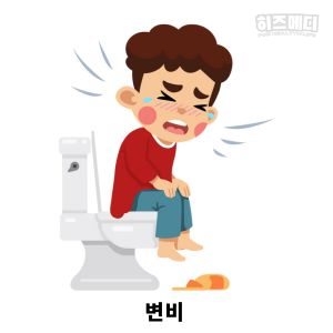 레몬수 효능