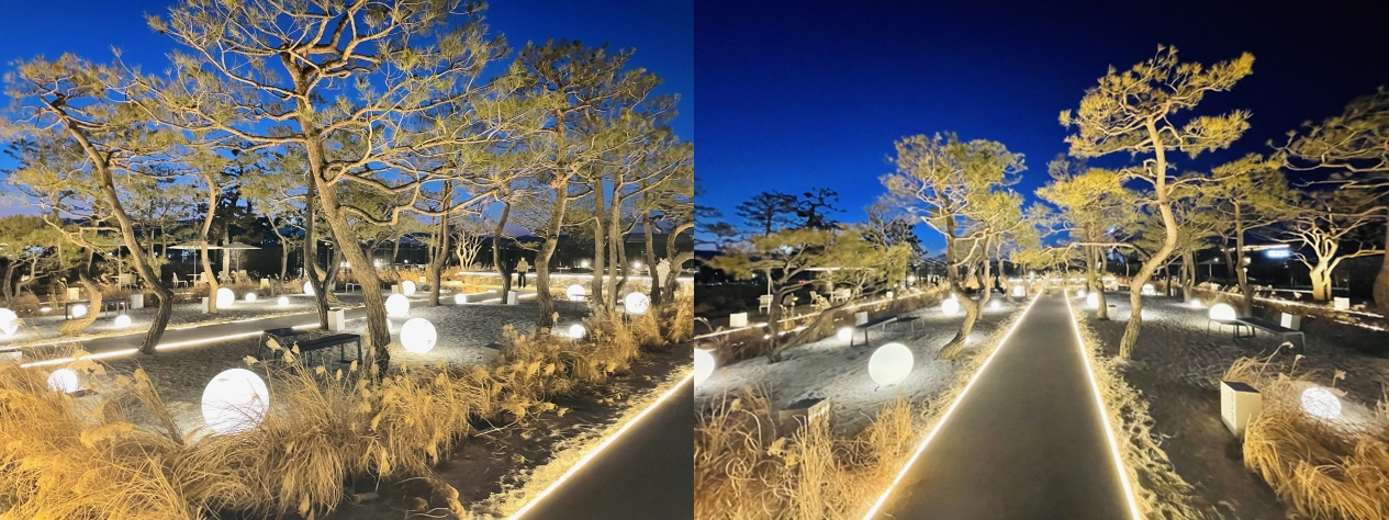 엔드-투-앤드-조경