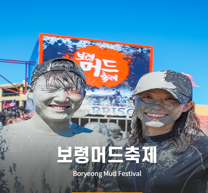 보령 머드축제 포스터