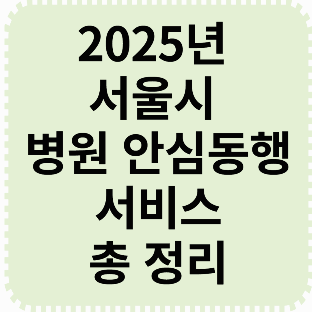 2025년 서울시 병원 안심동행 서비스 &ndash; 이용 방법 &amp; 변경사항 총정리